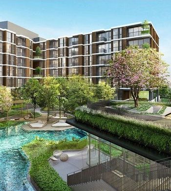bagnall-haus-draft-swimming-pool-singapore bagnall-haus-draft-swimming-pool-singapore